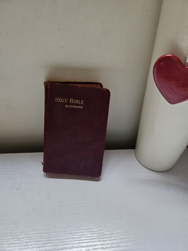 Holy bible vintage - bible, book