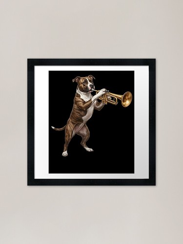 American staffordshire terrier - american,