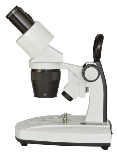 Binocular stereo microscope - binocular,