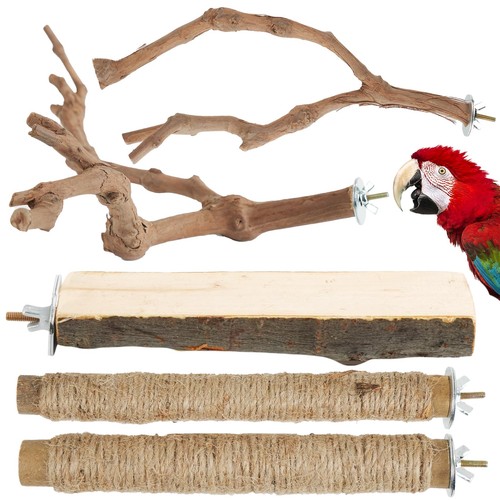 Bird perch stand - bird,