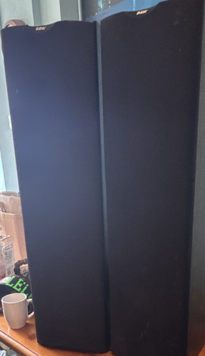 Dm603 pair standing - b&w,