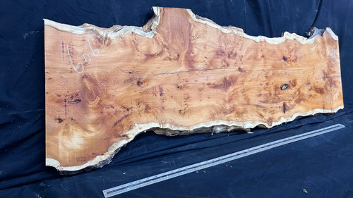 Pippy yew coffee table - yew,