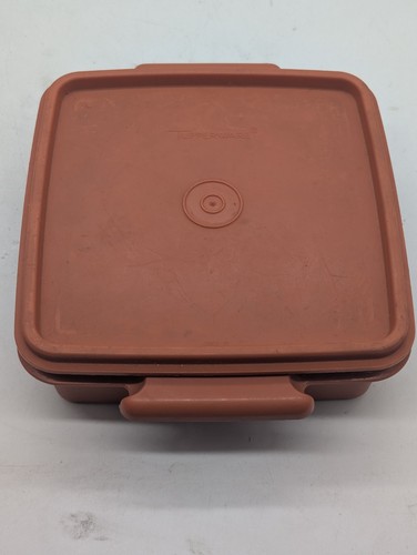 Vintage tupperware sandwhich - vintage,