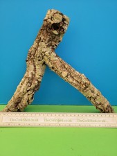 CORK BARK BRANCH 30CM SNAKE
