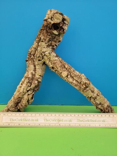 Cork bark branch - cork,