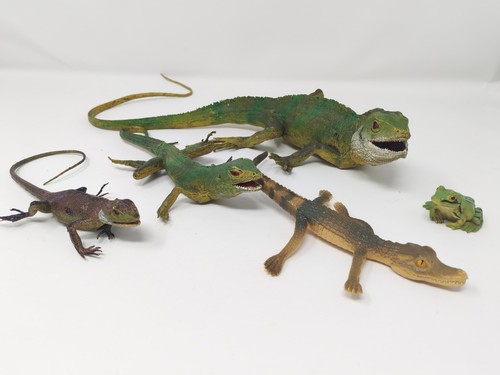 Iguana lizard frog crocodile - iguana,