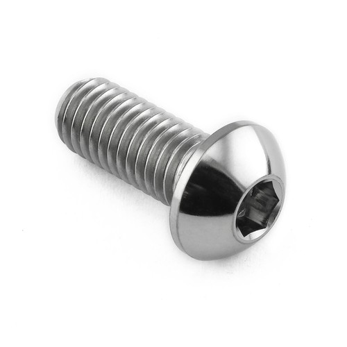 Titanium disc bolt - disc, to