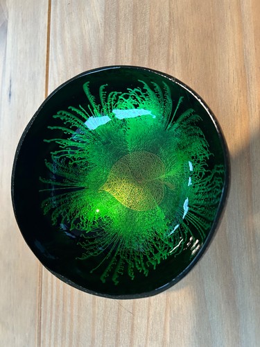Hand painted coconut shell - hand,