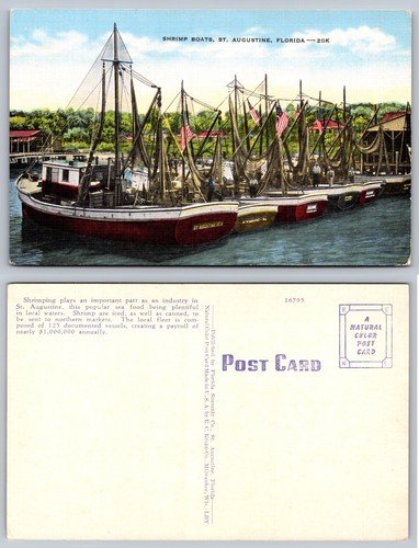 Shrimp boats augustine - boats,