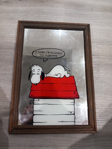 Vintage snoopy mirror picture - mirror,