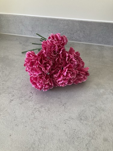 Ikea carnation stems - ikea, flowers