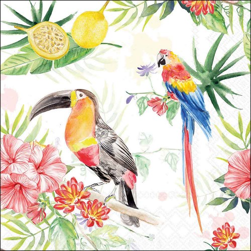 Tropical birds paper - paper, napkins