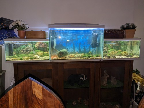 60l tanks with - x,