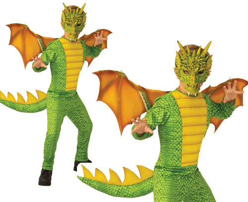 Dragon childs costume - dragon,