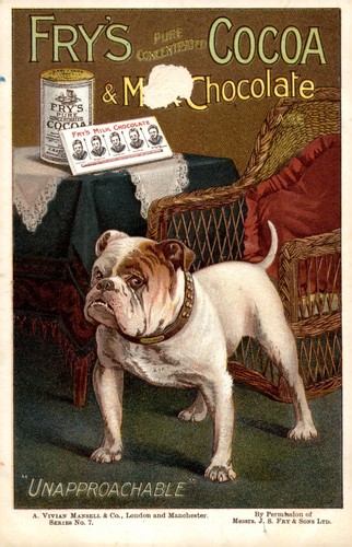 Frys cocoa milk - cocoa,