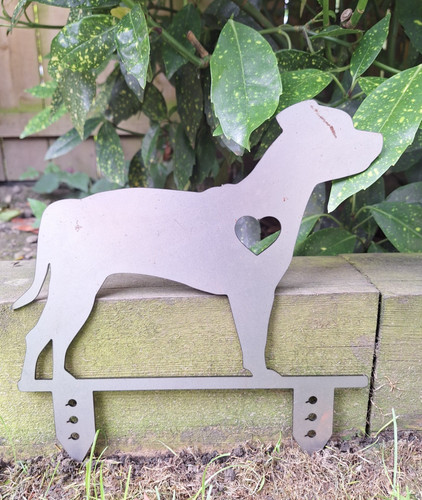 Staffordshire bull terrier - terrier, dog