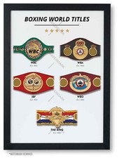 Boxing World Title Belts