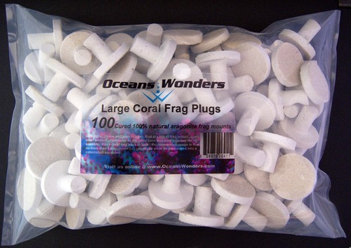 100 large cured reef - large, for