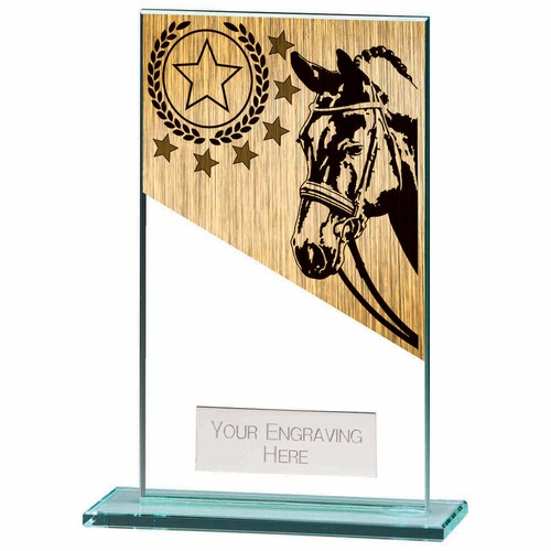 Horse equestrian trophies - horse/equestrian,