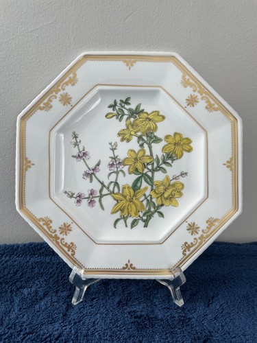 Spode the cabinet - spode,