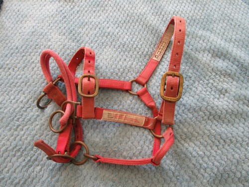 Monty roberts dually halter - monty,