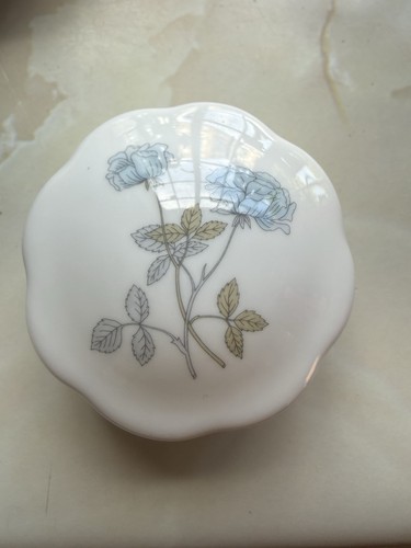 Wedgewood ice rose - rose, bone