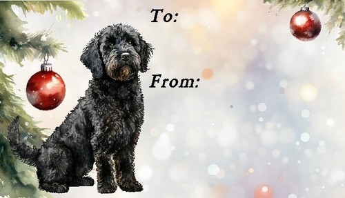 Labradoodle doodle - /,