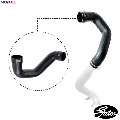 Charge air hose - charge,