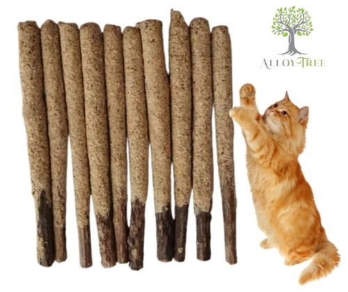 Matatabi silvervine catnip - matatabi,