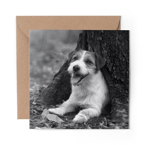 Blank greeting card - blank, bw