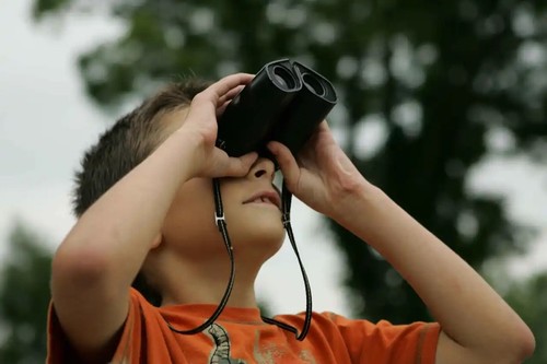 Too far see binoculars - too,