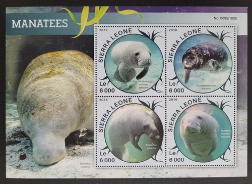 Sierra leone 2016 marine - sierra,