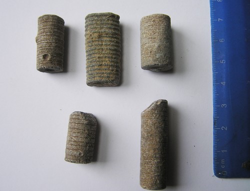 Bag fossil crinoid stems - fossil,
