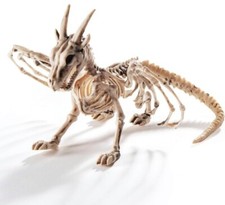 Kids Toy 4D Dinosaur Skeleton