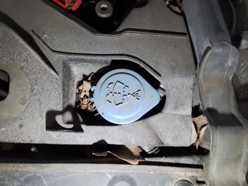 Washer bottle bmw series mk6 - series,