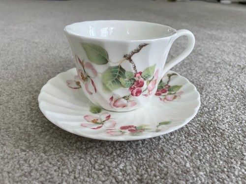 Wedgewood apple blossom - apple,