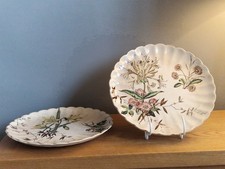 Two Wild Flowers plates, S. Hancock, Stoke on Trent, circa 1880