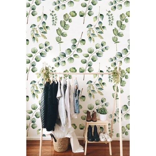 Removable wallpaper eucalyptus - removable,