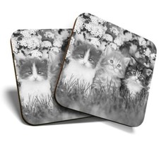2 x Coasters (BW) - Gorgeous Kittens Garden Cats Animals  #41343