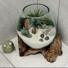 Crystals Air Plant Terrarium
