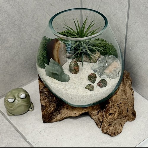 Crystals air plant - crystals,