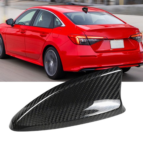 Black carbon fiber - carbon, roof