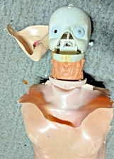 Laerdal Resusci Anne CPR