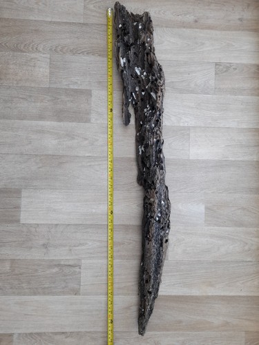 Beautiful drift wood dragon - drift,