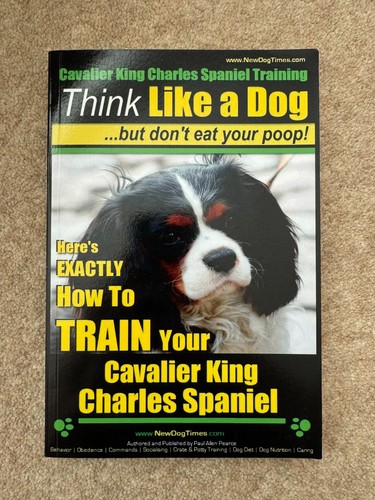 Cavalier king charles - cavalier, spaniel