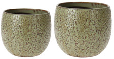 Indoor ceramic plant - ceramic,