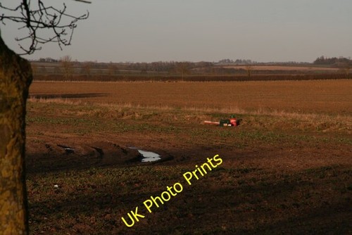 Photo 6x4 bird scarer - photo,