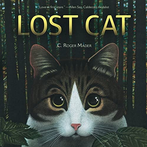 Lost cat mader roger - lost, cat,