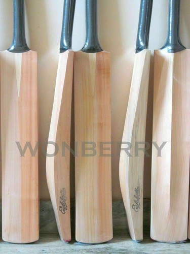 Plain english willow - plain, cricket