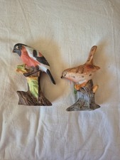 Vintage Bullfinch and Wren